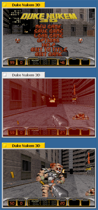 Скриншоты Duke Nukem 3D для BeOS